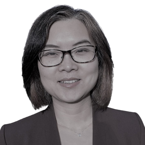 Dr Ting Lu